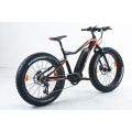 Bicicleta eléctrica de neumático grueso XY-WARRIOR-M 1000W